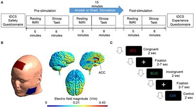 Anodal Transcranial Direct Current Stimulation of Anterior Cingulate Cortex Modulates Subcortical Brain Regions Resulting in Cognitive Enhancement